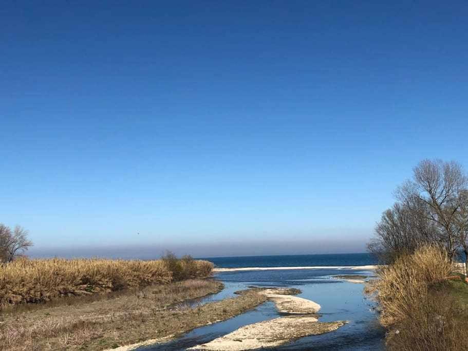 Vita Marina Leilighet Porto SantʼElpidio Eksteriør bilde