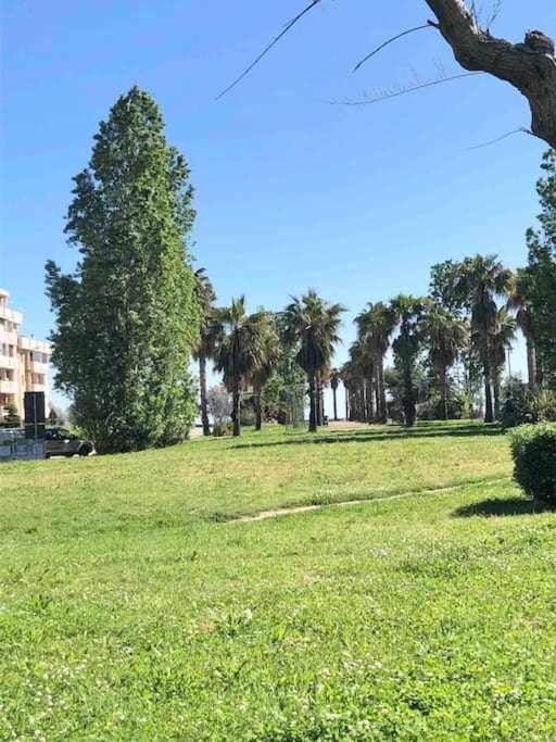 Vita Marina Leilighet Porto SantʼElpidio Eksteriør bilde